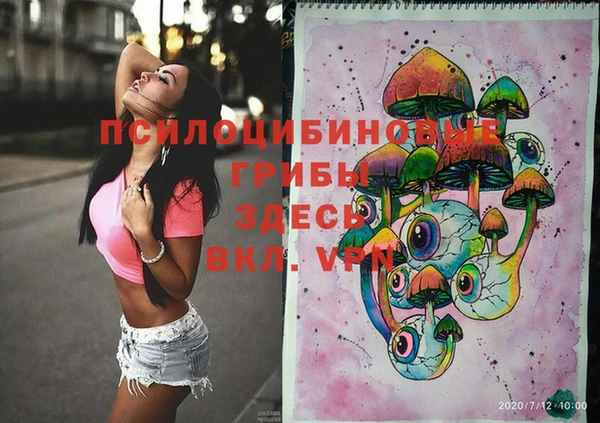 гашик Кущёвская