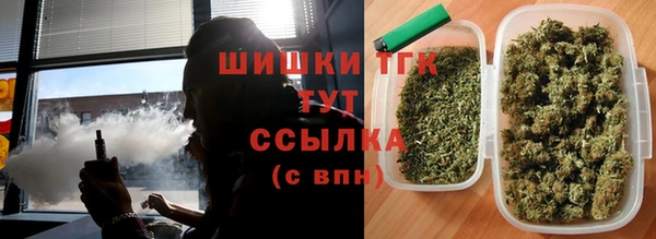 СК Александровское
