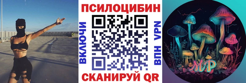 Купить где  Холм  Галлюциногенные грибы Psilocybine cubensis 
